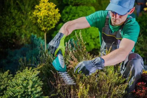 landscaping services Charleston